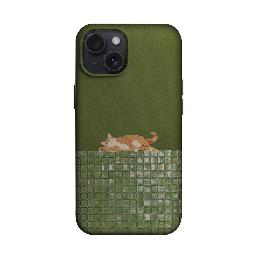 Yeşil Duvarda Uyuyan Kedi Telefon Kılıfı K912 mockup 1